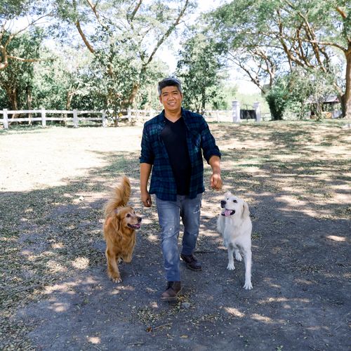 Coach Francis walking dogs at The Dog Ranch